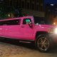 PinkHummer01